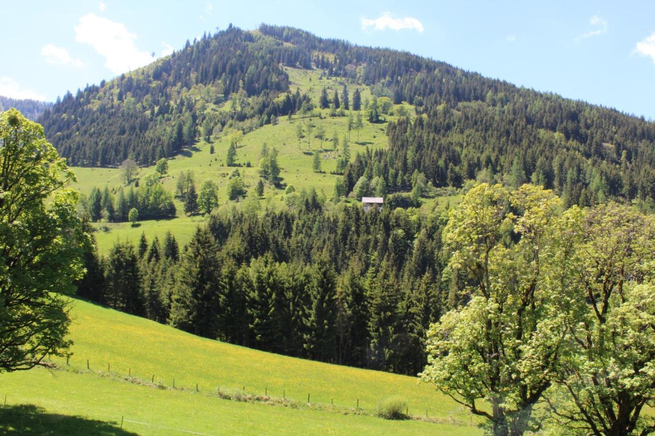 Zauneralm Aich  Esterno foto