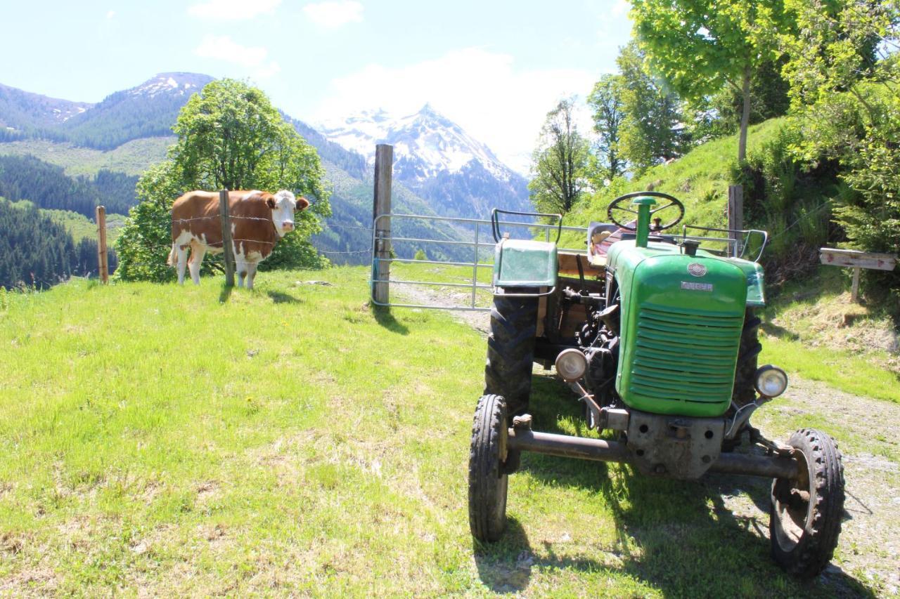 Zauneralm Aich  Esterno foto
