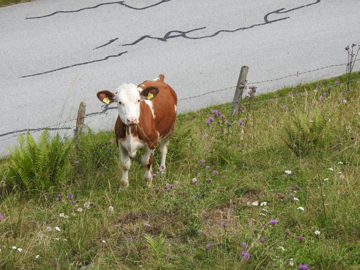 Zauneralm Aich  Esterno foto