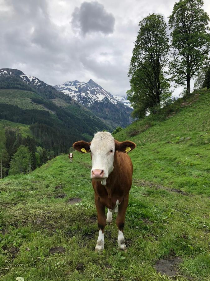 Zauneralm Aich  Esterno foto